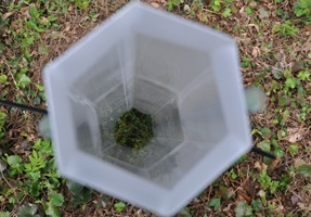 フォーラム写真