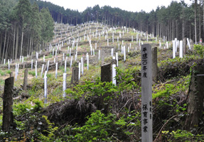 フォーラム写真