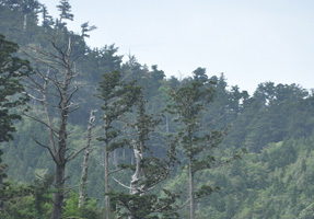 フォーラム写真