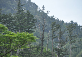 フォーラム写真