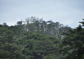 フォーラム写真