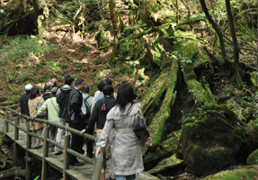 フォーラム写真