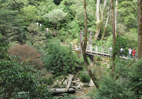 フォーラム写真