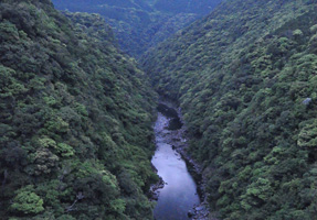 フォーラム写真