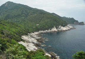 フォーラム写真