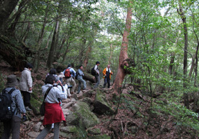 フォーラム写真