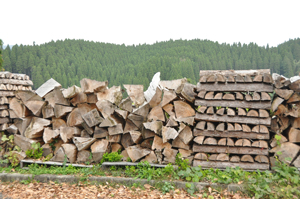 フォーラム写真