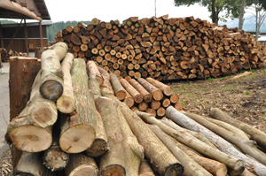 フォーラム写真