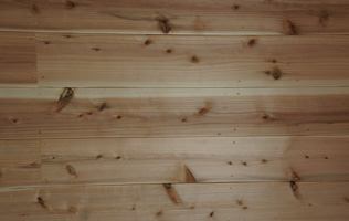 フォーラム写真