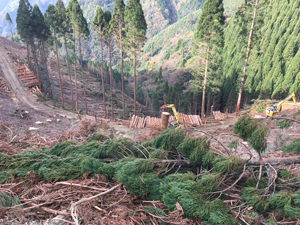 フォーラム写真