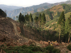 フォーラム写真