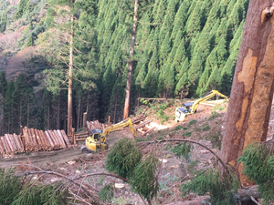 フォーラム写真