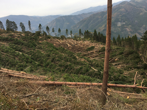 フォーラム写真