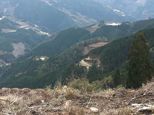 フォーラム写真