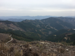 フォーラム写真