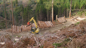 フォーラム写真