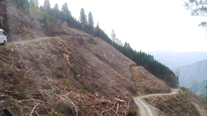 フォーラム写真