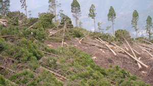 フォーラム写真