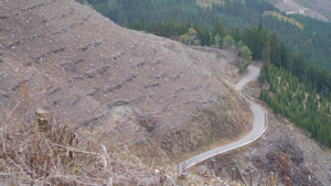 フォーラム写真