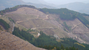 フォーラム写真