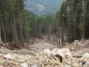 第25回九州森林フォーラム 熊本県小国町