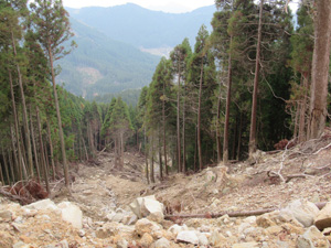 第25回九州森林フォーラム 熊本県小国町