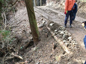 第26回九州森林フォーラム in 大分県日田市