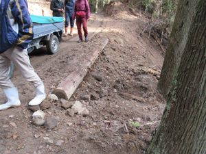 第26回九州森林フォーラム in 大分県日田市