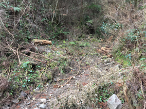 第26回九州森林フォーラム in 大分県日田市