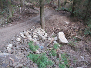 第26回九州森林フォーラム in 大分県日田市