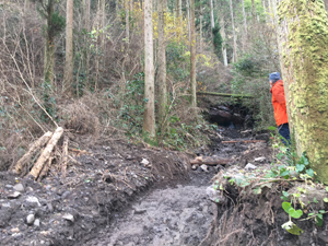 第26回九州森林フォーラム in 大分県日田市