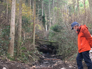 第26回九州森林フォーラム in 大分県日田市