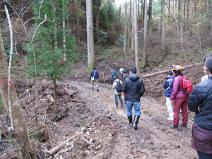 第26回九州森林フォーラム in 大分県日田市