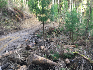 第26回九州森林フォーラム in 大分県日田市
