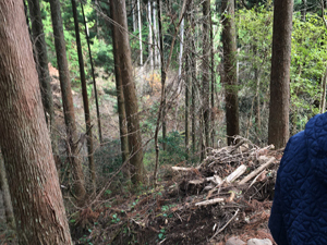 第26回九州森林フォーラム in 大分県日田市