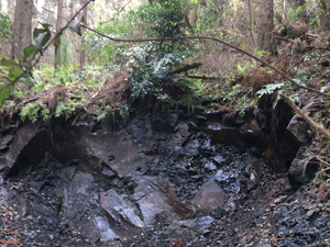 第26回九州森林フォーラム in 大分県日田市