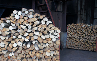 フォーラム写真