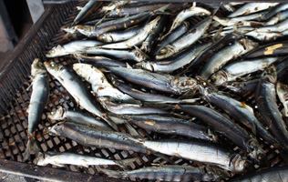 フォーラム写真