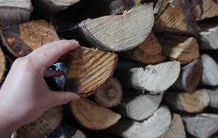 フォーラム写真