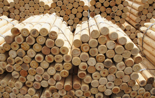 フォーラム写真