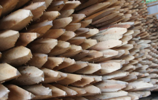 フォーラム写真