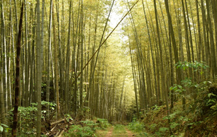 フォーラム写真